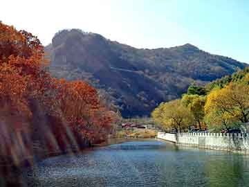 澳门二四六天天彩图库，农园种植蔬菜